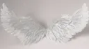 dollywrld۶ৎ Discord server banner