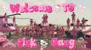 𝓟𝓲𝓷𝓴 𝓖𝓪𝓷𝓰 𝓟𝓪𝓵𝓪𝓬𝓮 ❀ banner