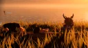 HQ Discord server banner