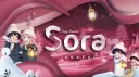 Sora banner