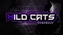 Wild Cats banner