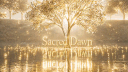 Sacred Dawn Discord server banner