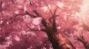Webtoon [FR] Banner
