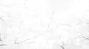 ๐๐ kqute anqels เป๊ฑ server banner