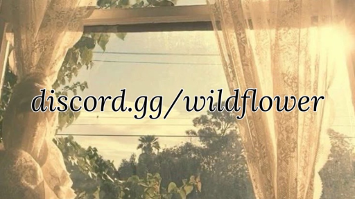 BILZ Discord server banner