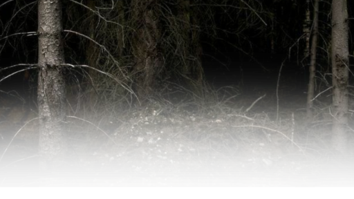 ֹ 𝑂𝐶𝑇𝑂𝐵𝐸𝑅 𝐶𝑂𝑈𝑁𝑇𝑅𝑌 ׅ Discord server banner