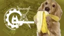 Ingeniería Electromecánica 🤓 banner