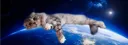 banner