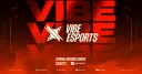 Vibe Esports banner