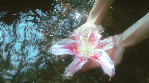 𝙖𝙡𝙤𝙪𝙧𝙖・active & social Discord server banner