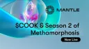 Mantle Network banner