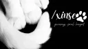 ✗inse ・ 心色 ✿ Discord server banner