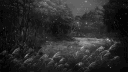 Velra . banner