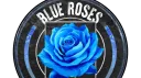 🌹🔷 Blue Roses 🔷🌹 {NG} banner