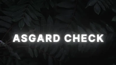 𝙰𝚜𝚐𝚊𝚛𝚍 𝙲𝚑𝚎𝚌𝚔 banner