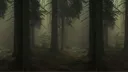 [18+] The Forest server banner