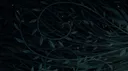 Serpent's Gaze banner