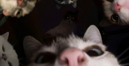 Kebasa server banner