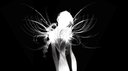 meraki server banner