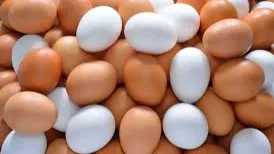 Egg_Men banner