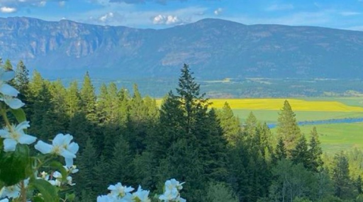 Summer ⛱ Discord server banner