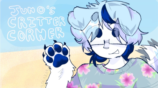 ☀ Juno’s summer camp! 🏕 Discord server banner