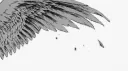 SST<3💥 banner