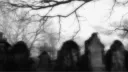 # Two Hundred Eleven ²¹¹ banner