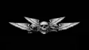 always banner