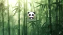 🐼 2025 PANDA🐼 I will be back soon. banner