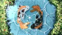Different Universe banner