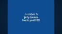 ☼    IDV IS FUN banner
