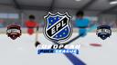 European Puck League Banner
