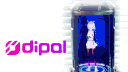 dipal banner
