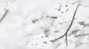 lumora ꕮ Discord server banner