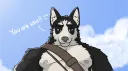 Furros Leitores banner