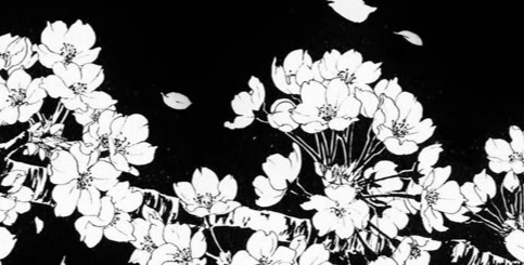 Nico’s Shack Discord server banner