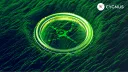Cygnus banner