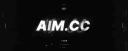 AIM.CC banner