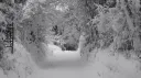 Snow banner