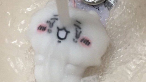 paws Discord server banner