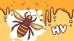 Honeyview server banner