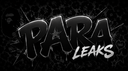 ParaLeaks 4.0┃ Out Now Discord server banner