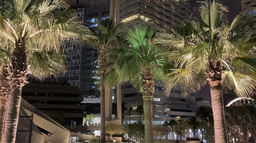 Sahar Discord server banner