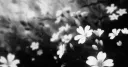 #<3 you. banner