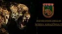 [CIGS] Centro de Instrução de Guerra na Selva banner