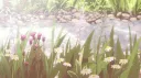 ⋆⭒˚.⋆bazooka banner