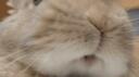 comfy Banner