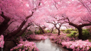 The Sakura Garden [21+] Discord server banner