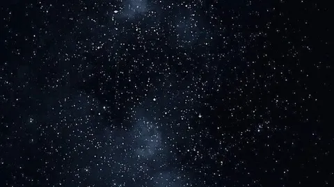 𝑳𝒂𝒕𝒆𝑵𝒊𝒈𝒉𝒕 banner